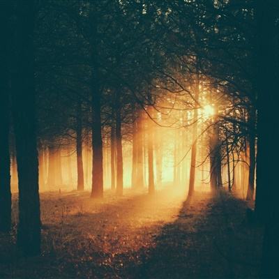 百人牛牛游戏软件截图